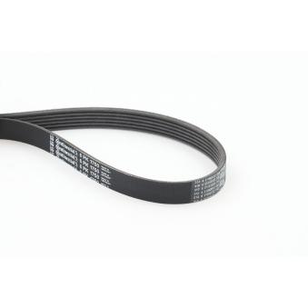 Courroie trapézoïdale à nervures CONTITECH