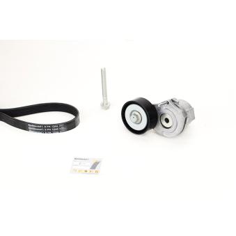 Jeu de courroies trapézoïdales à nervures CONTITECH 6PK1244K3