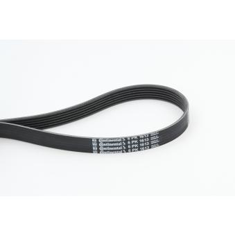 Courroie trapézoïdale à nervures CONTITECH