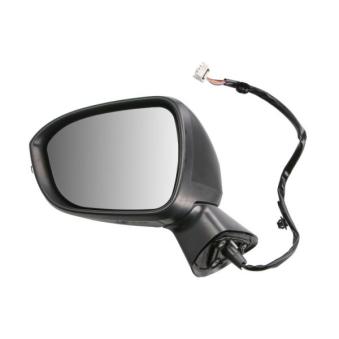 Rétroviseur extérieur BLIC 5402-15-2465310P