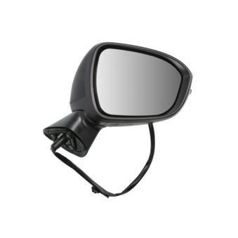 Rétroviseur extérieur BLIC 5402-15-2465311P