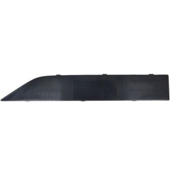 Baguette et bande protectrice, porte avant droit BLIC 5703-04-7920578P