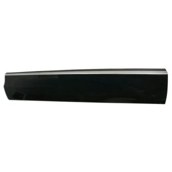 Baguette et bande protectrice, porte avant gauche BLIC 5703-04-7807571P