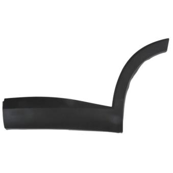 Baguette et bande protectrice, porte avant gauche BLIC 5703-04-7821575P