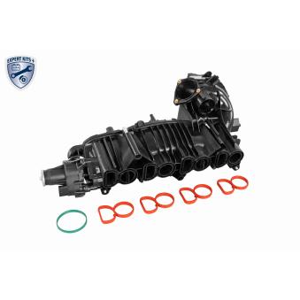 Module de tube d'admission VAICO V20-2175