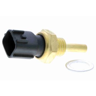 Capteur, température d'huile VEMO V38-72-0004