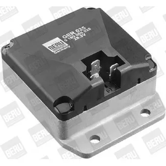 Régulateur d'alternateur BERU