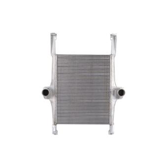Intercooler, échangeur THERMOTEC DAIV002TT