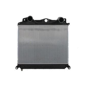 Intercooler, échangeur THERMOTEC DAMA007TT