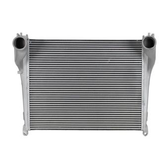 Intercooler, échangeur THERMOTEC DAME009TT