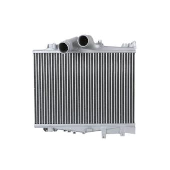 Intercooler, échangeur THERMOTEC DAME006TT