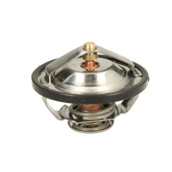 Thermostat d'eau THERMOTEC D2CA009TT