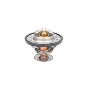 Thermostat d'eau THERMOTEC D2CA005TT