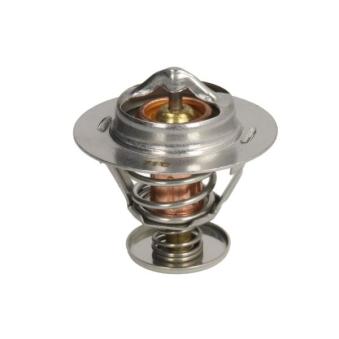 Thermostat, liqiuide de refroidissement THERMOTEC D2AG017TT