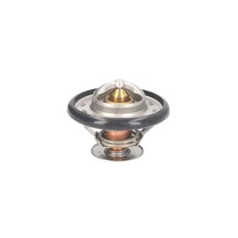 Thermostat d'eau THERMOTEC D2DE001TT