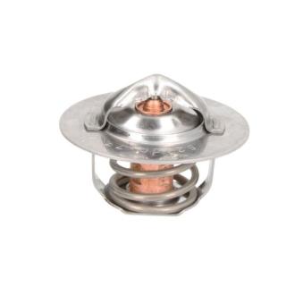 Thermostat d'eau THERMOTEC D2DE002TT