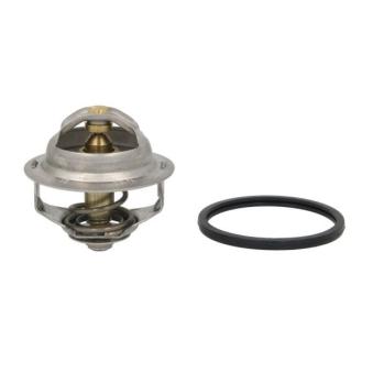 Thermostat d'eau THERMOTEC D2IV003TT