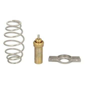 Thermostat, liquide de refroidissement THERMOTEC D2IV008TT