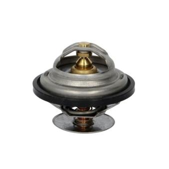 Thermostat d'eau THERMOTEC