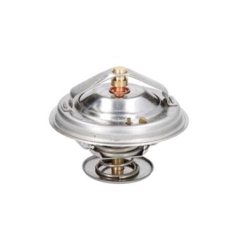 Thermostat d'eau THERMOTEC D2MF001TT