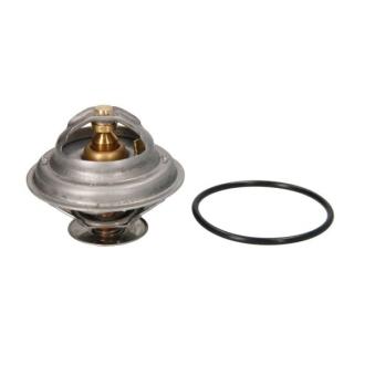 Thermostat d'eau THERMOTEC D2PE005TT