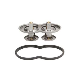 Thermostat d'eau THERMOTEC