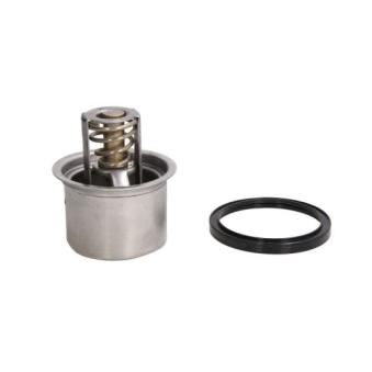 Thermostat d'eau THERMOTEC D2RV004TT