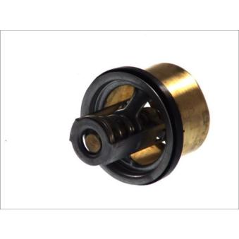 Thermostat d'eau THERMOTEC D2RV002TT