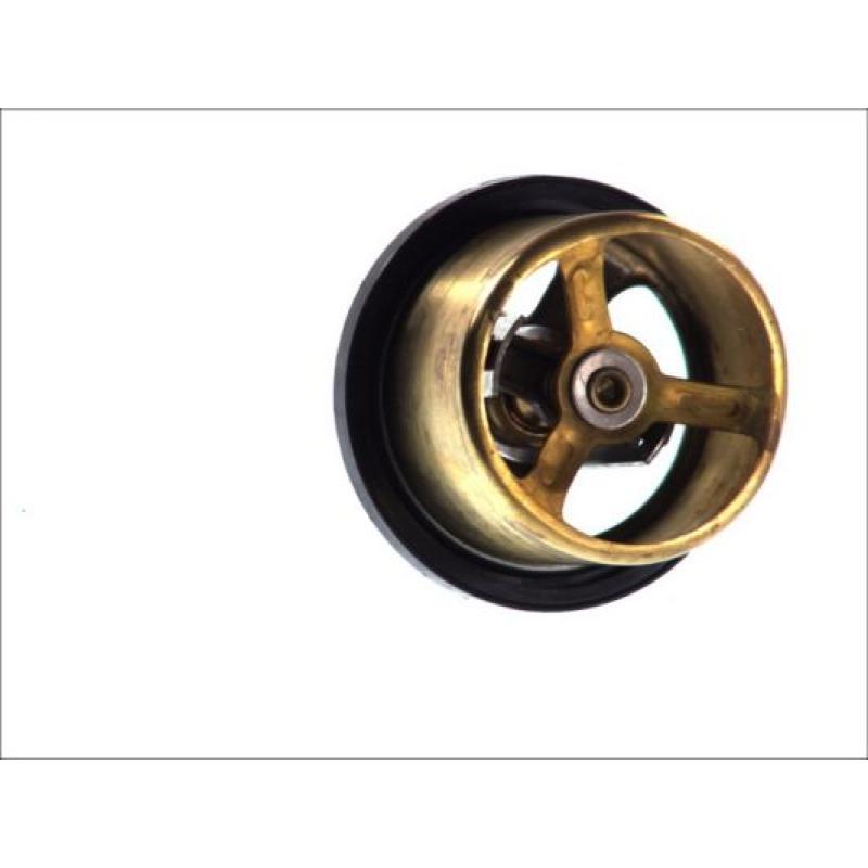 Thermostat d'eau THERMOTEC D2RV002TT - Visuel 1