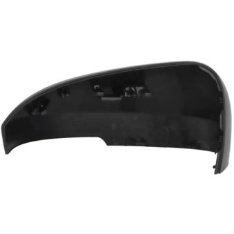 Revêtement, rétroviseur extérieur BLIC 6103-15-2465310P