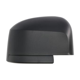 Revêtement, rétroviseur extérieur BLIC 6103-01-1999311P