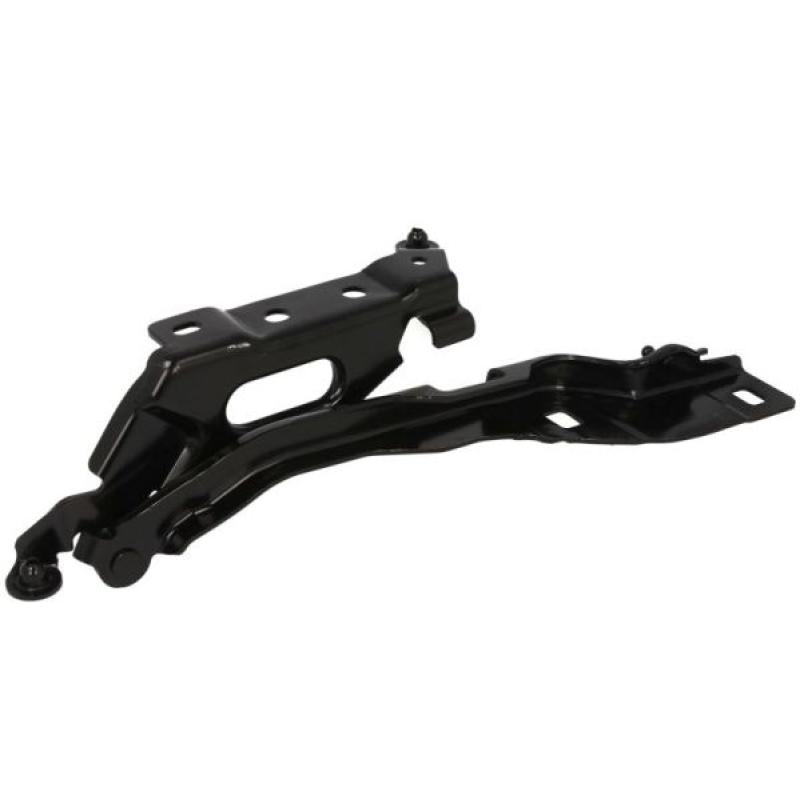 Charnière, capot-moteur BLIC 6802-00-2593452P - Visuel 1