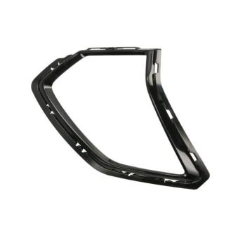 Cadre, projecteur principal  BLIC 6502-07-7850982P