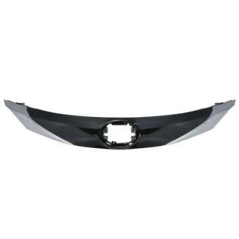 Grille de radiateur BLIC 6502-07-8115991P