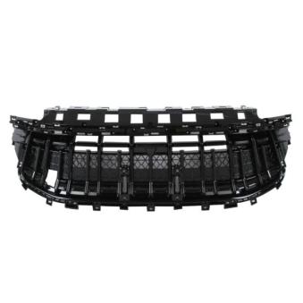 Grille de radiateur BLIC 6502-07-8400990P