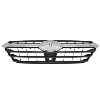 Grille de radiateur BLIC 6502-07-6717990P