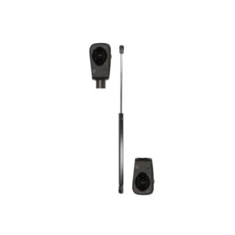 Vérin MAGNUM TECHNOLOGY MGS113