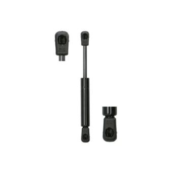 Ressort pneumatique, porte MAGNUM TECHNOLOGY MGS106