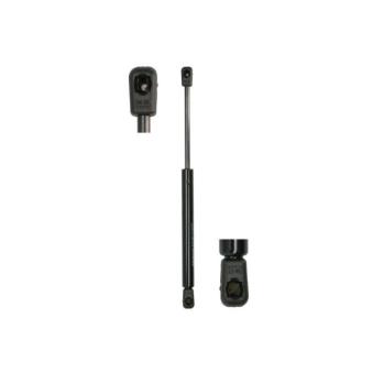 Ressort pneumatique, porte MAGNUM TECHNOLOGY MGS104