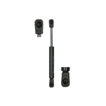 Ressort pneumatique, porte MAGNUM TECHNOLOGY MGS148