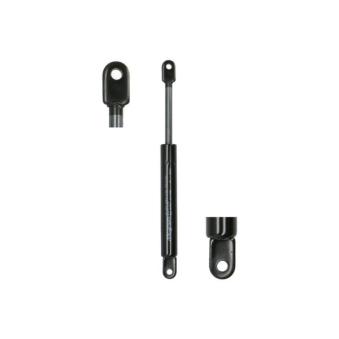 Vérin MAGNUM TECHNOLOGY MGS129