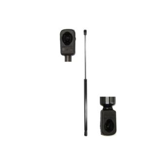 Vérin MAGNUM TECHNOLOGY MGS181