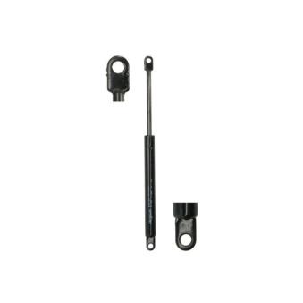 Ressort pneumatique, porte MAGNUM TECHNOLOGY MGS153