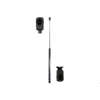 Ressort pneumatique, porte MAGNUM TECHNOLOGY MGS154