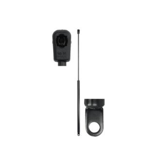 Ressort pneumatique, porte MAGNUM TECHNOLOGY MGS162