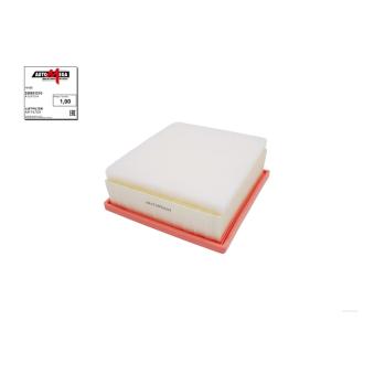 Filtre à air AUTOMEGA 250051210