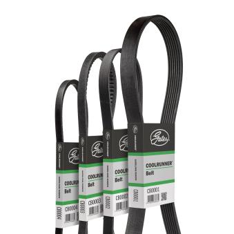 Courroie trapézoïdale GATES CB0020