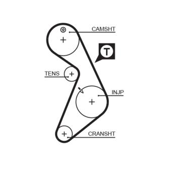 Courroie crantée GATES 5395