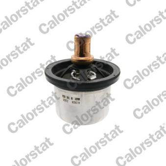 Thermostat, liquide de refroidissement CALORSTAT BY VERNET
