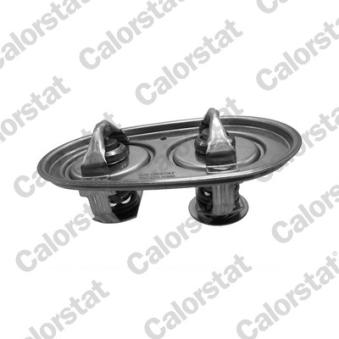 Thermostat, liquide de refroidissement CALORSTAT BY VERNET